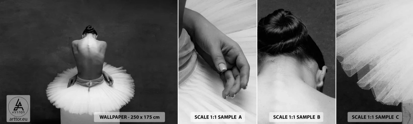 Vzor Fototapety Samolepicí Deluxe Sticker - Právě kvete - Balerína, Tanec, Balet - 100x30 cm