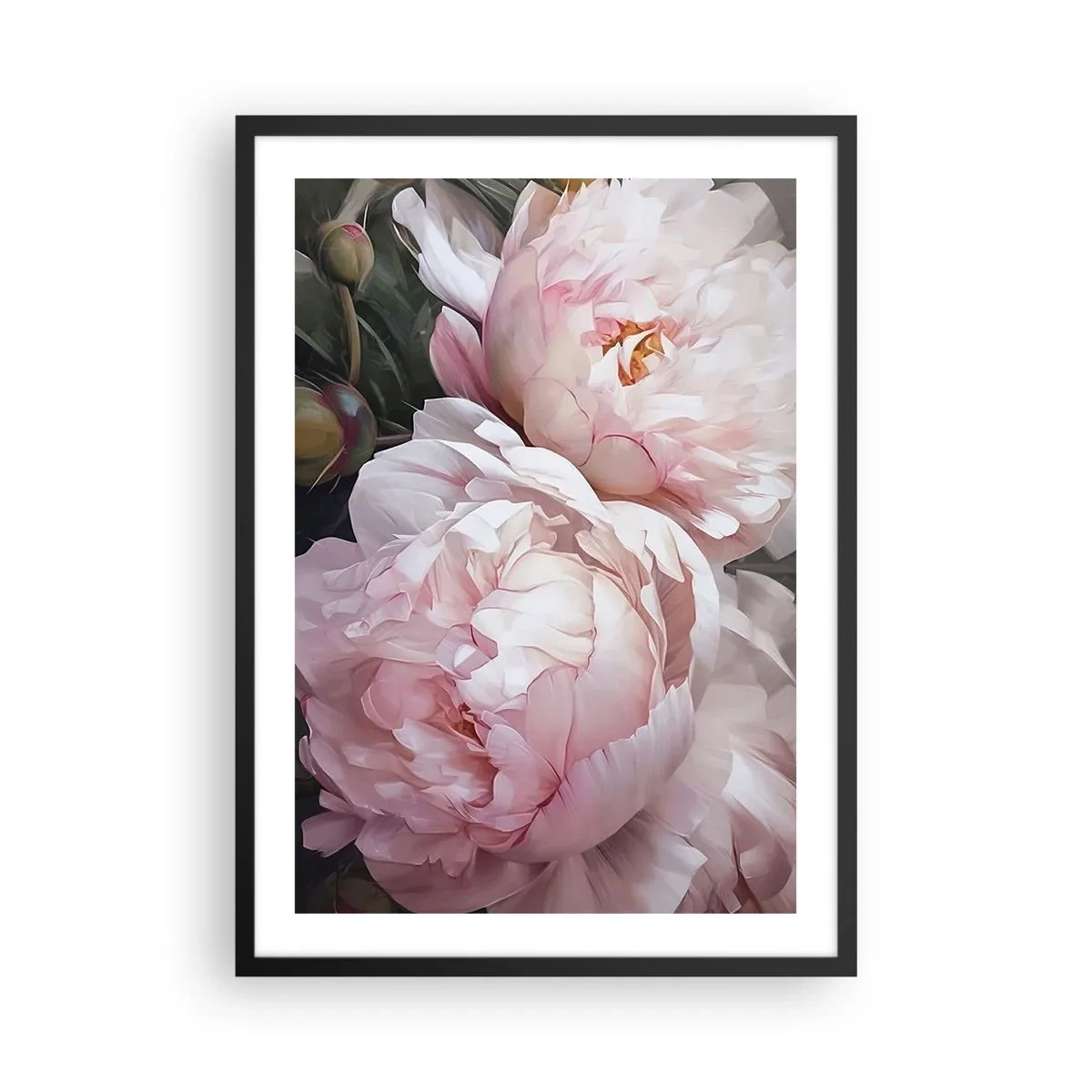 Plakát v černém rámu - Jemné pivoňky v pastelových odstínech růžové a bílé - 50x70cm - Uchytnuté v rozkvětu - Moderní nástěnná dekorace do obývacího pokoje a ložnice ARTTOR