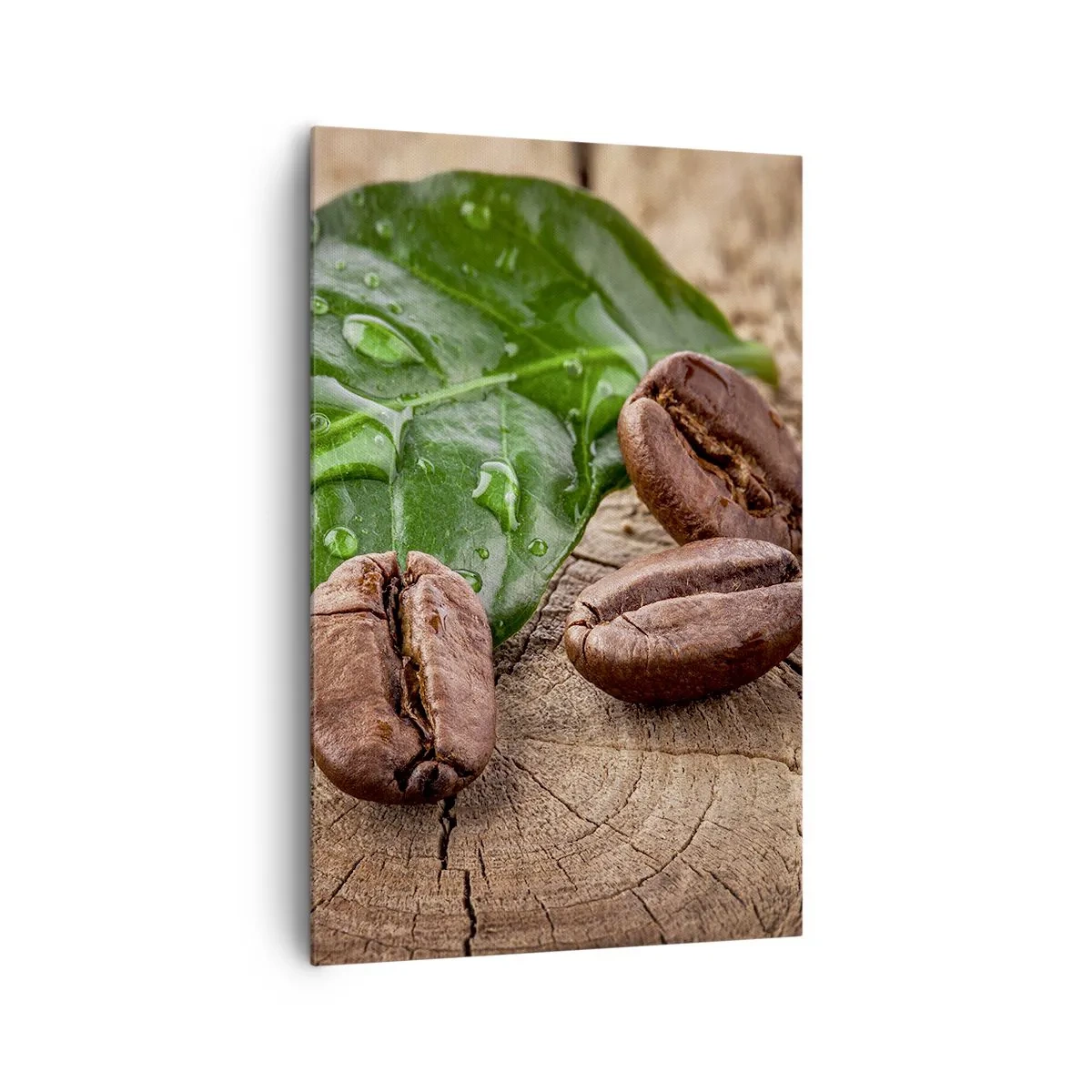 Obraz na plátně - Nejskutečnější a černá - 80x120 cm