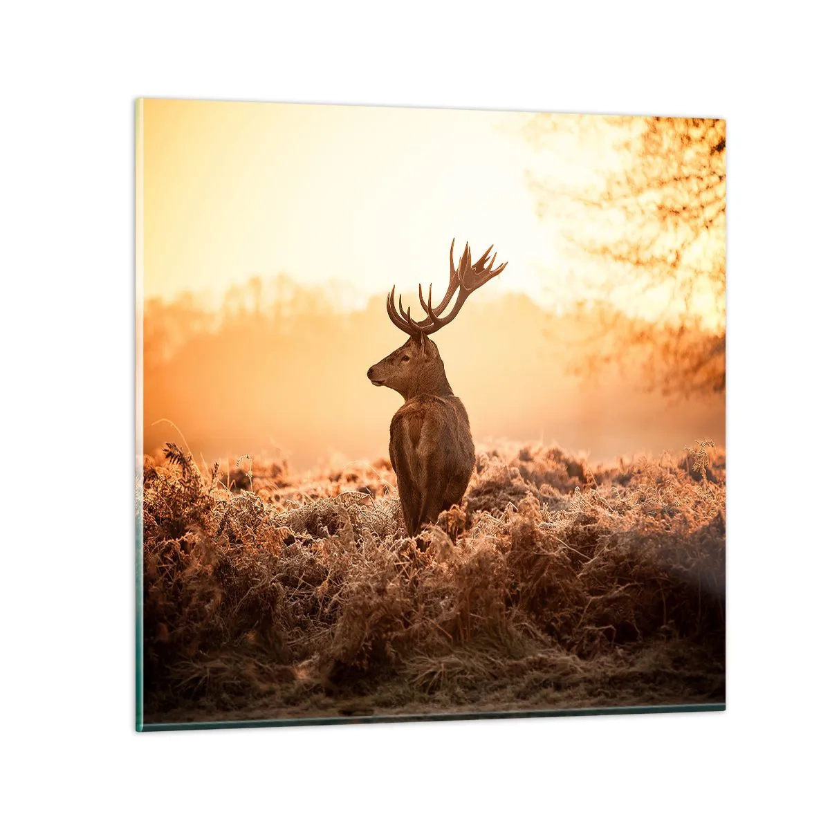 Obraz na skle - Pán na panství - 60x60 cm