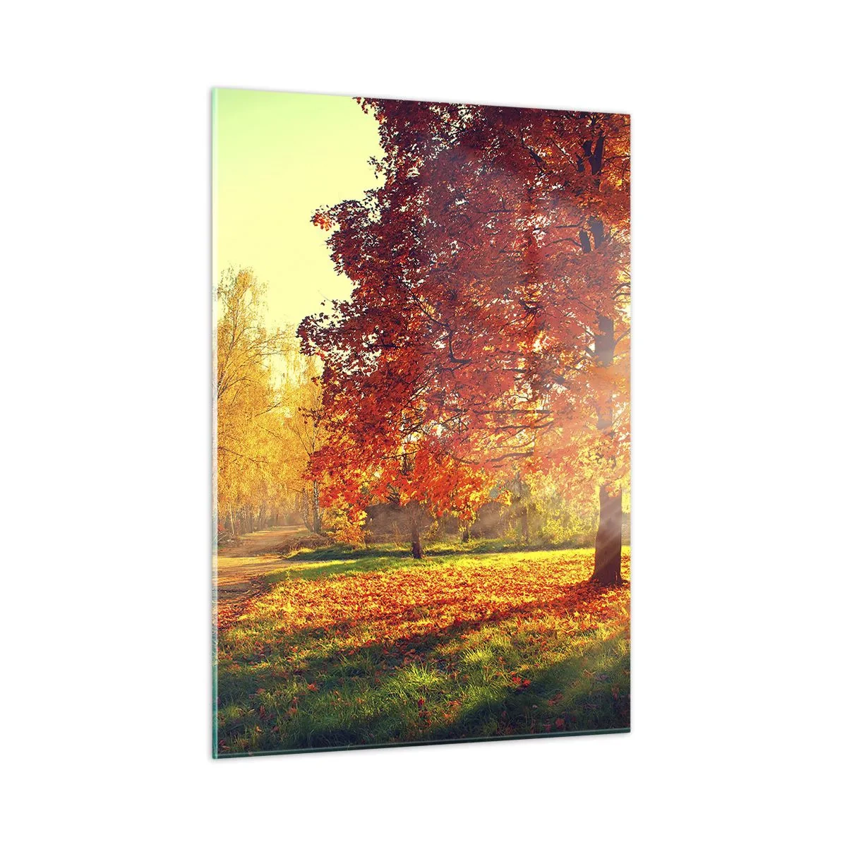 Obraz na skle - Rudé je krásné - 50x70 cm