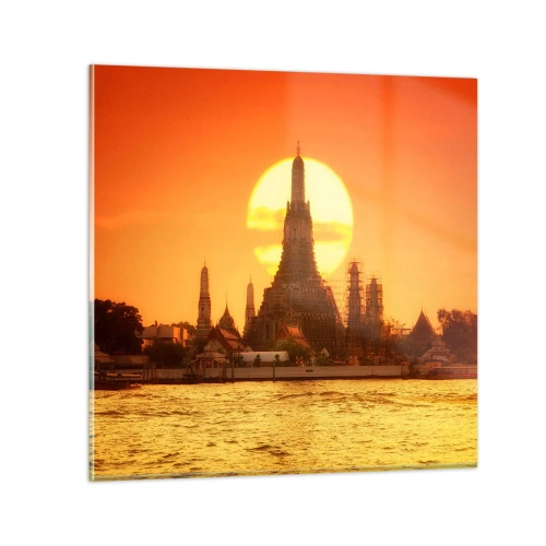 Obraz na skle - Ke slunci, vždy ke slunci - 40x40 cm