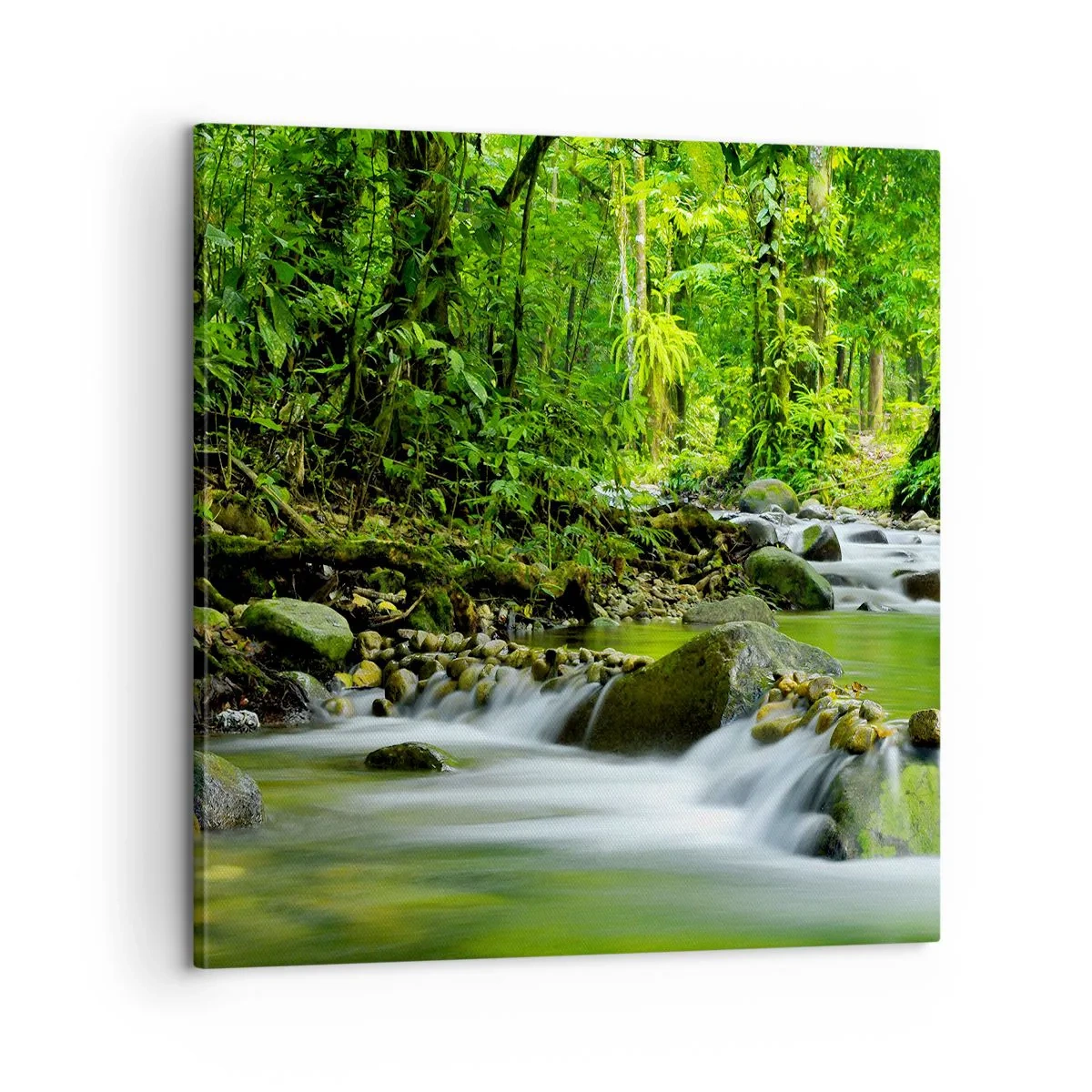 Obraz na plátně - Plout mořem zeleně - 60x60 cm