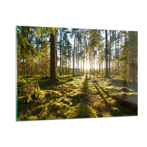 Obraz na skle - …Za sedmero lesy - 120x80 cm