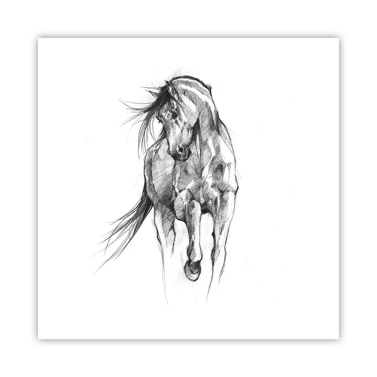 Plakát - V ladném klusu - 60x60 cm