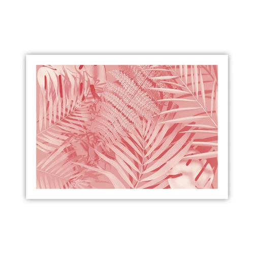 Plakát - Růžový koncept - 70x50 cm