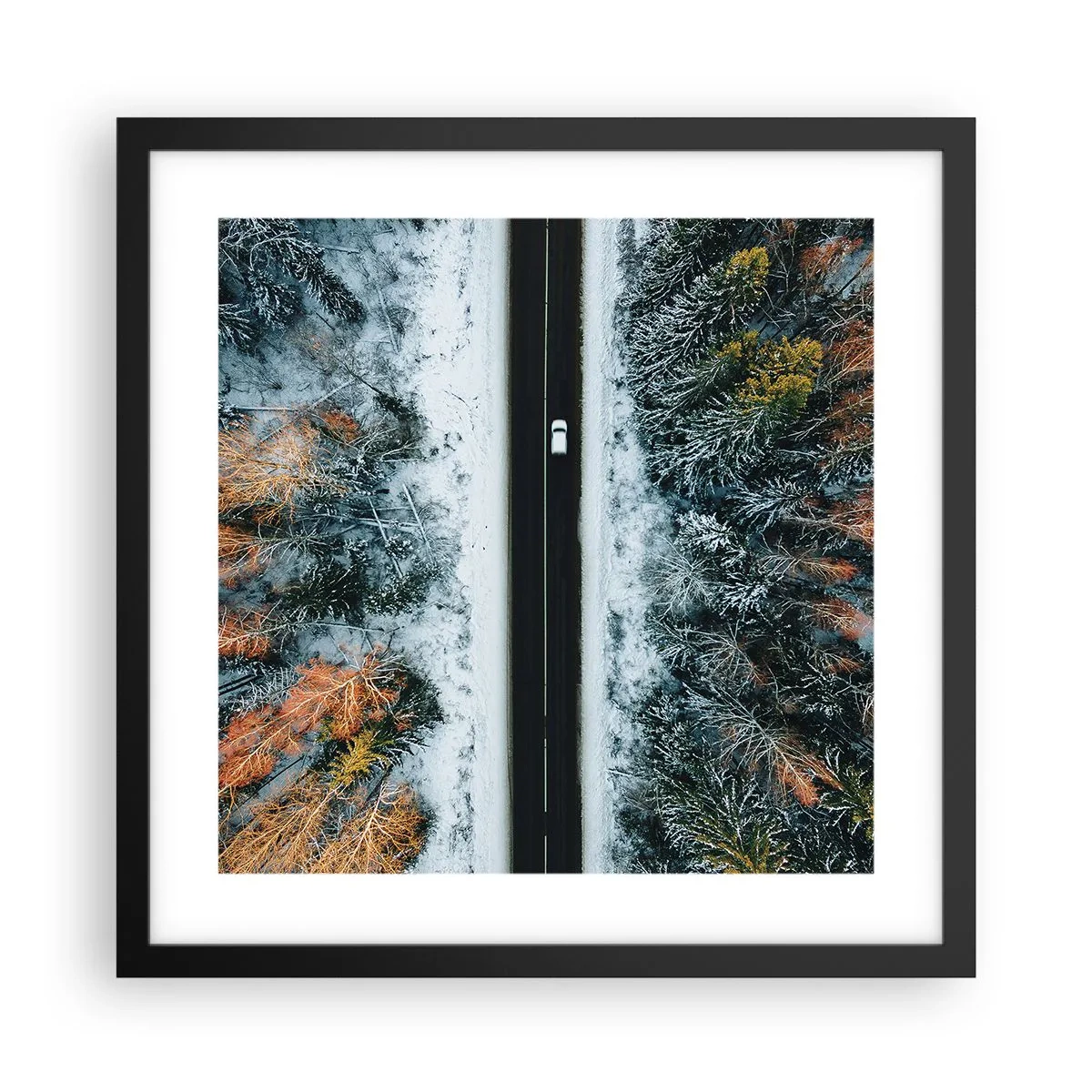 Plakát v černém rámu - Přes zimní les - 40x40 cm