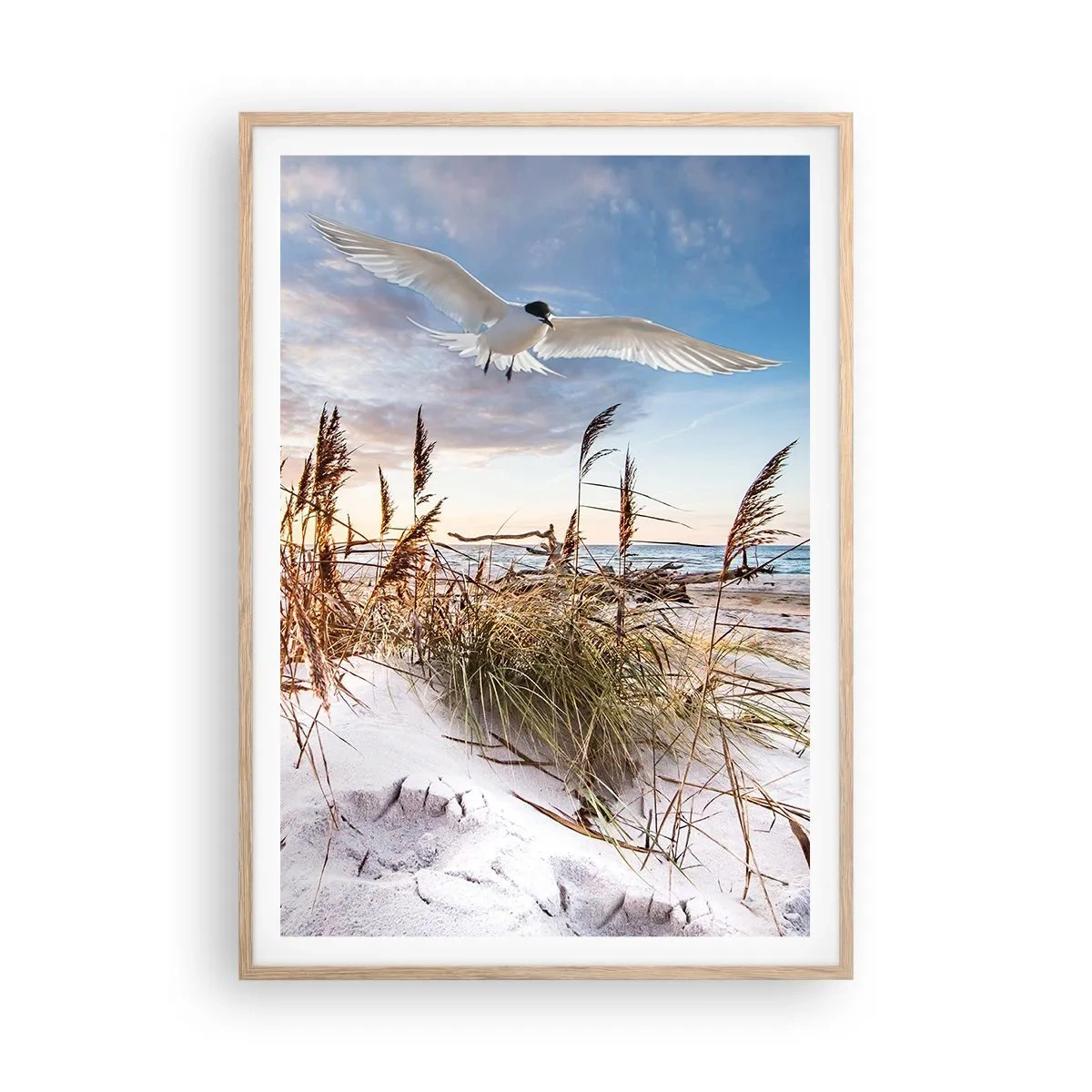 Plakát v rámu světlý dub - Vítr od moře - 70x100 cm