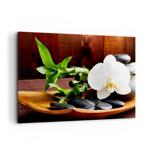 Obraz na plátně - Oddejte se doteku přírody - 120x80 cm