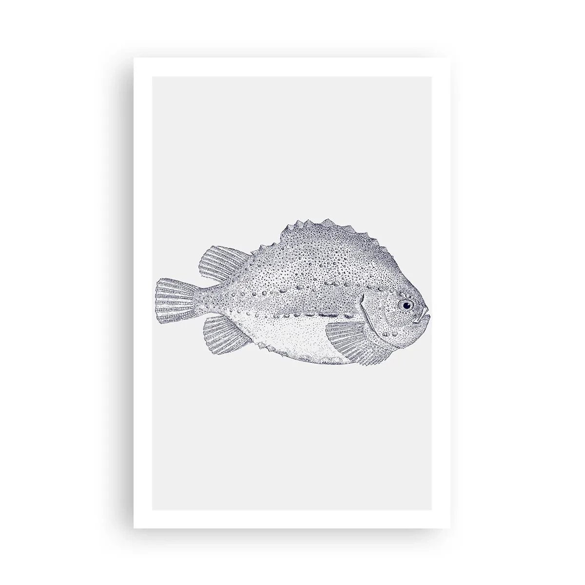 Plakát - Do alba přírodovědce - 61x91 cm