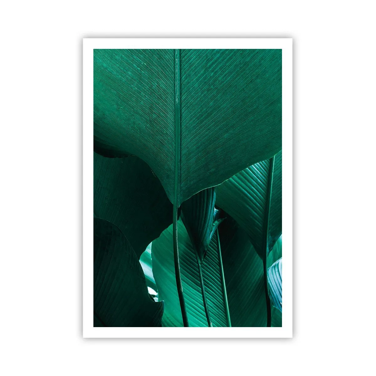 Plakát - Obrácené ke světlu - 70x100 cm