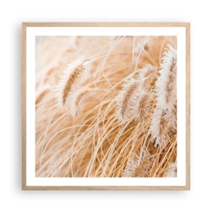 Plakát v rámu světlý dub - Zlaté šustění travin - 60x60 cm