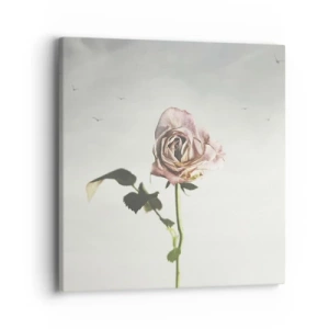 Obraz na plátně - Vítání jara - 40x40 cm