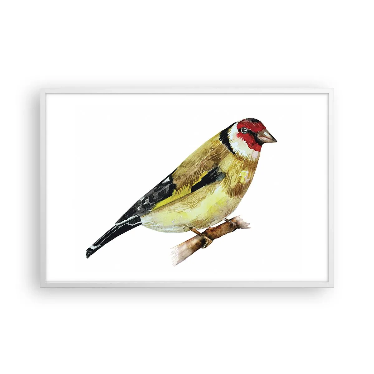 Plakát v bílém rámu - Ptáčí portrét - 91x61 cm