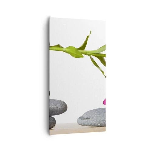 Obraz na plátně - Barvy života a trvání - 65x120 cm