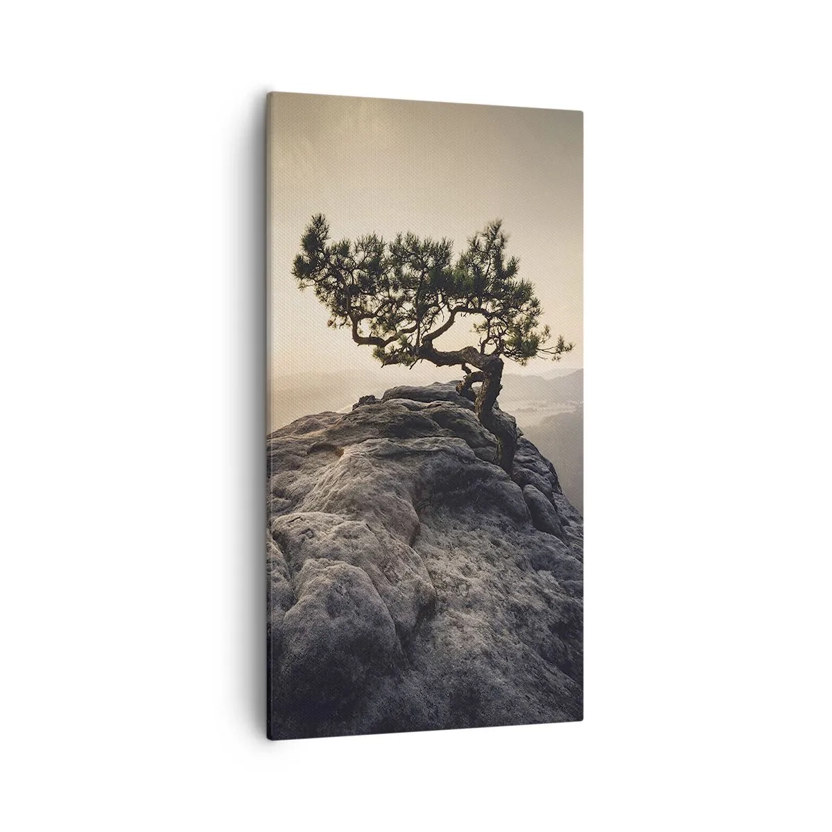 Obraz na plátně - Život vždy vítězí - 55x100 cm