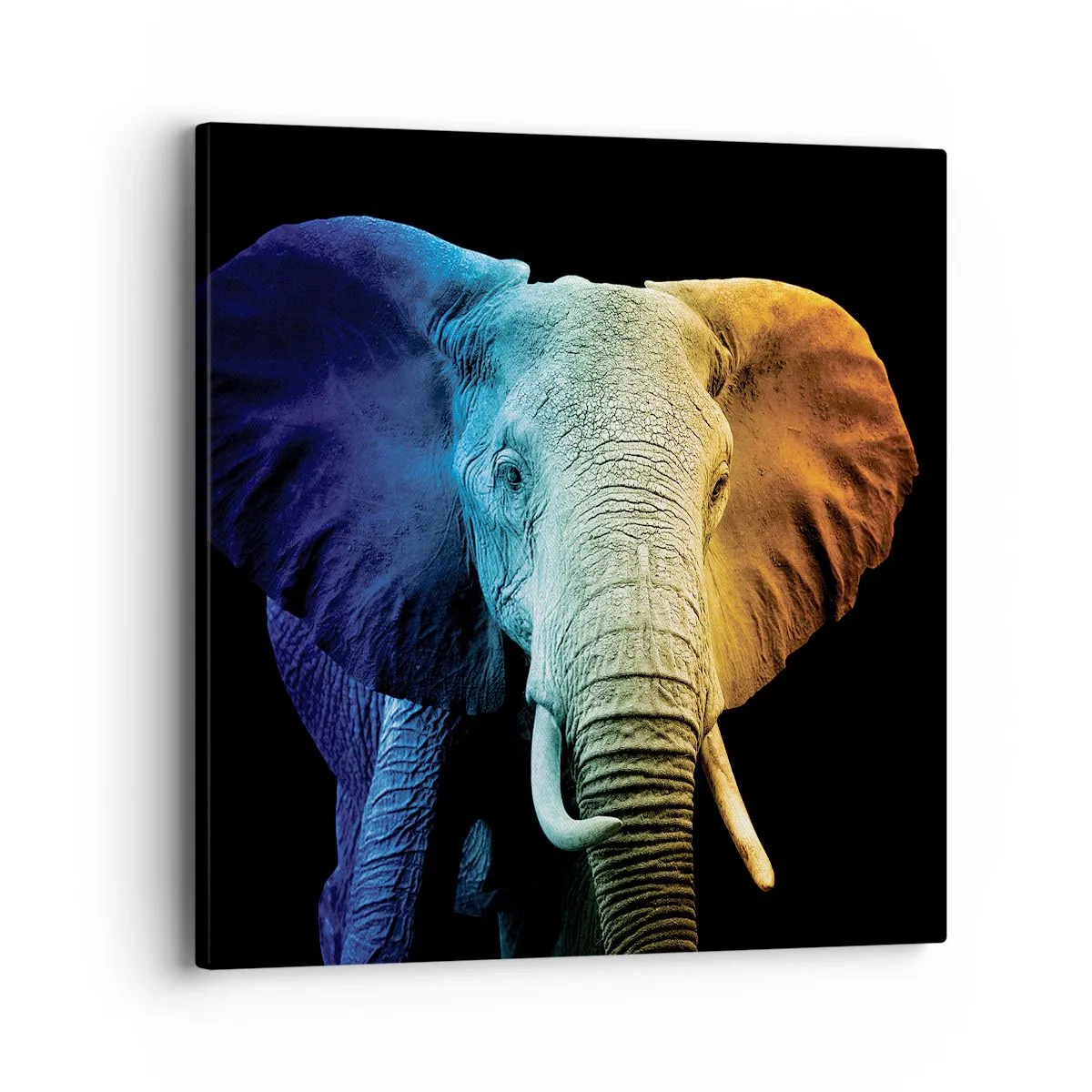 Obraz na plátně - Výstřední muž, ale ne podivín - 40x40 cm