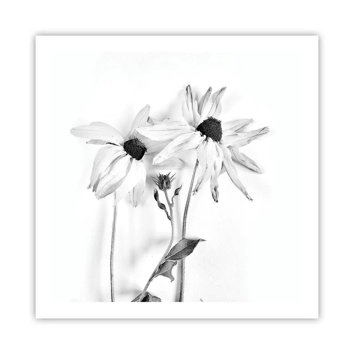 Plakát - Nikdo nechce být sám - 60x60 cm