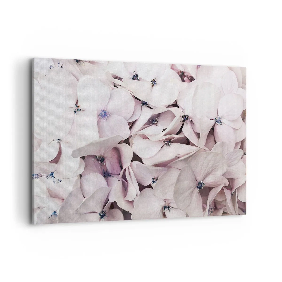 Obraz na plátně - V záplavě květin - 120x80 cm