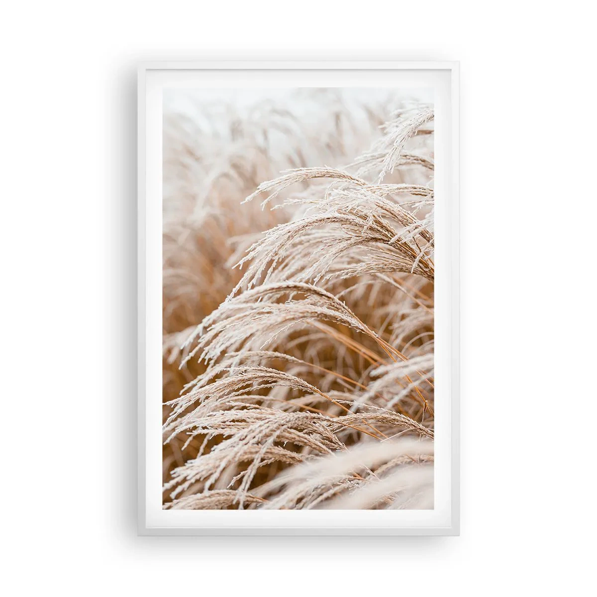 Plakát v bílém rámu - Klanění podzimnímu slunci - 61x91 cm
