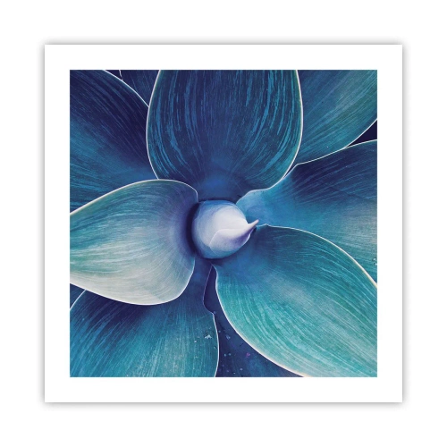 Plakát - Namodralý od nebe - 50x50 cm