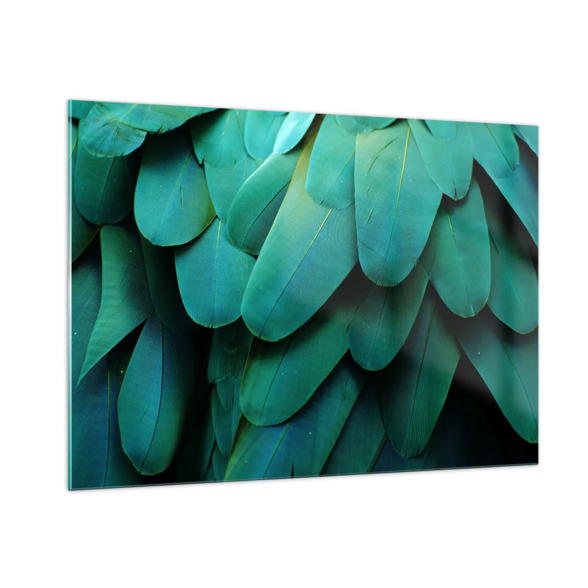 Obraz na skle - Přesnost papouščí povahy - 100x70 cm