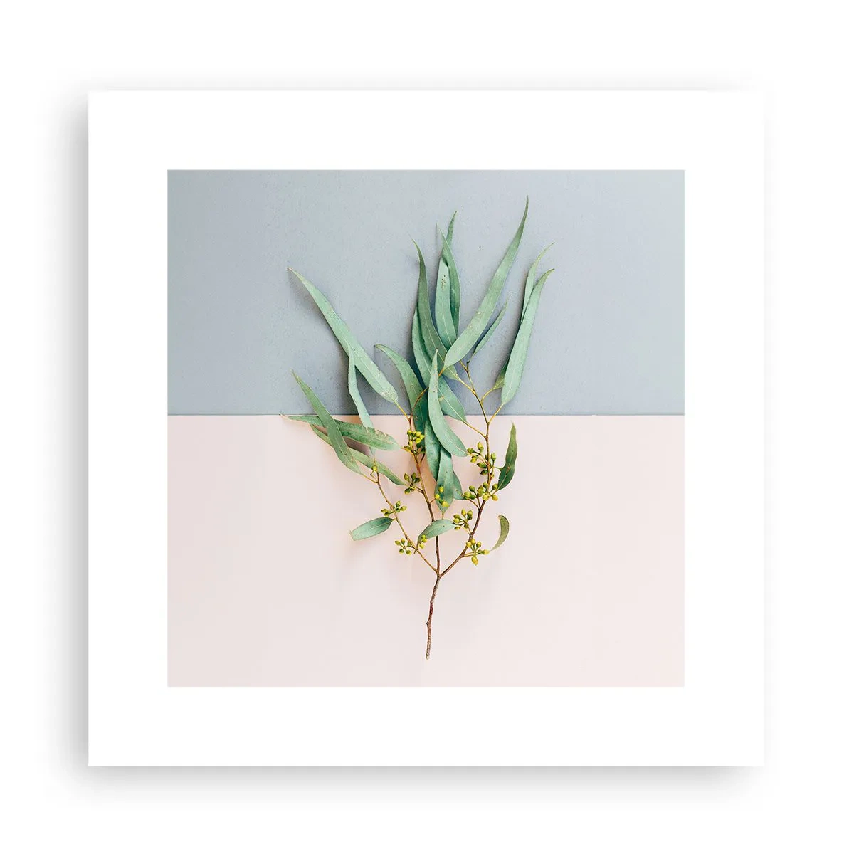 Plakát - Pastelová jemnost - 30x30 cm