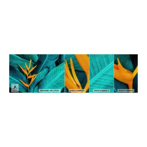 Vzor Fototapety Premium Sand - Rajský květ - Královská Strelitzia, Květ, Afrika - 100x30 cm