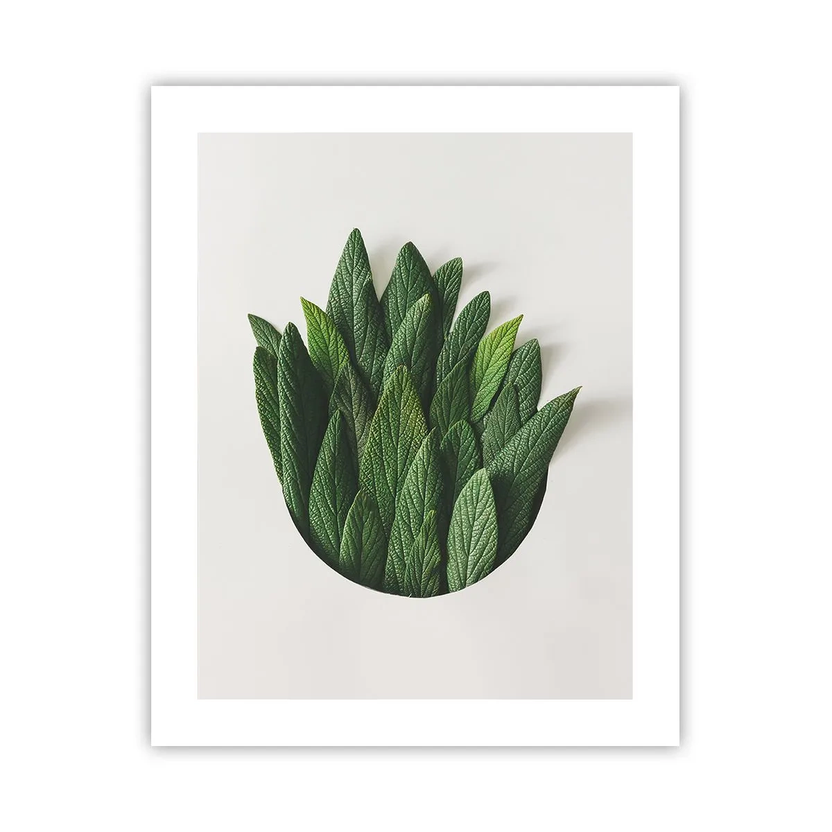 Plakát - Neukojitelná zvědavost - 40x50 cm