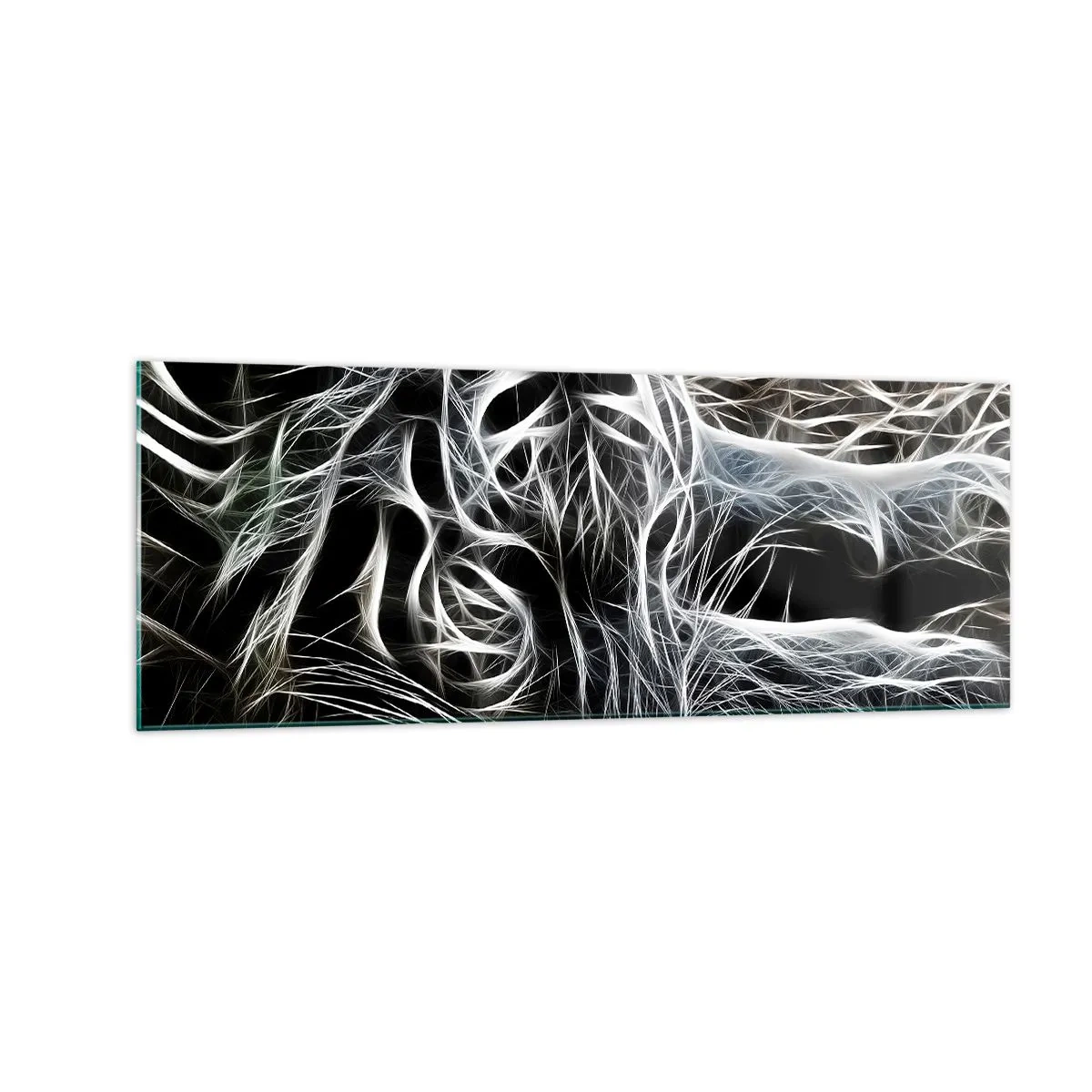 Obraz na skle - Studie kočičí lehkosti - 140x50 cm