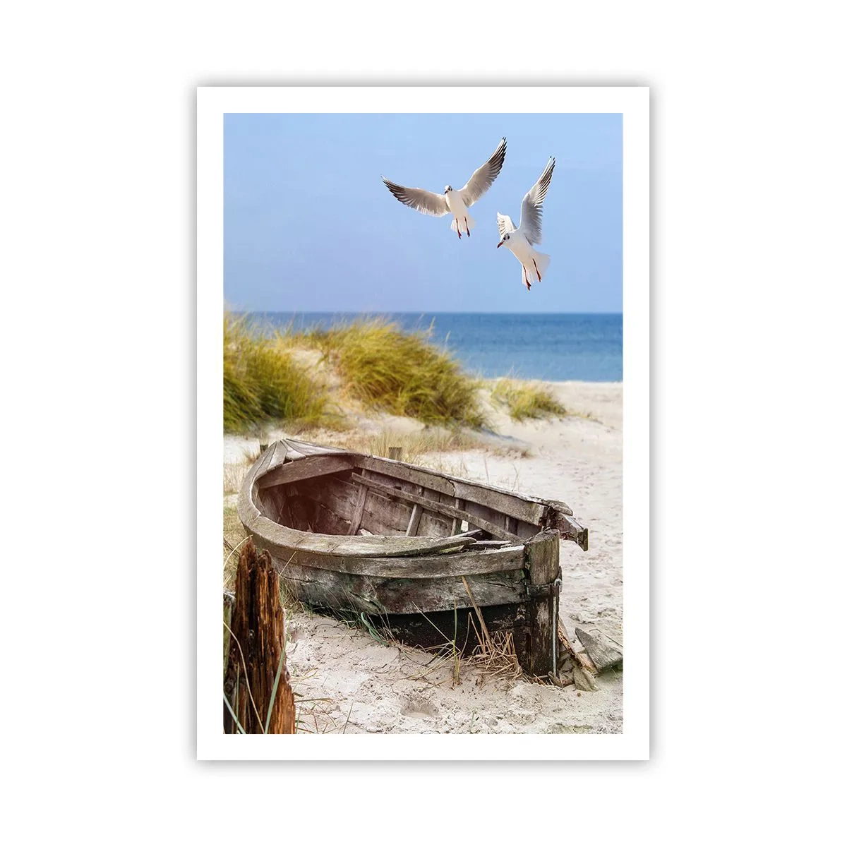 Plakát - Větrem ozářené - 61x91 cm