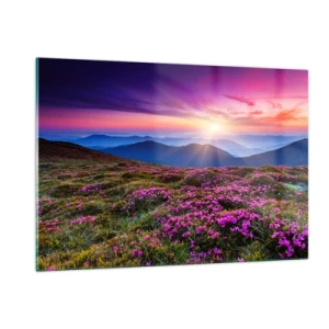 Obraz na skle - Zavoněly svěží pupeny bylinek z obilných polí - 120x80 cm
