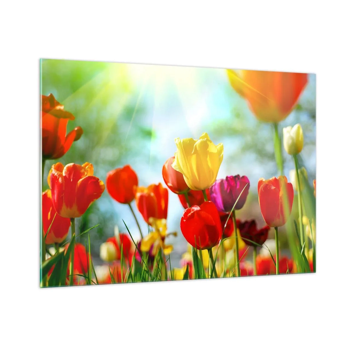Obraz na skle - Všechny barvy slunce - 100x70 cm