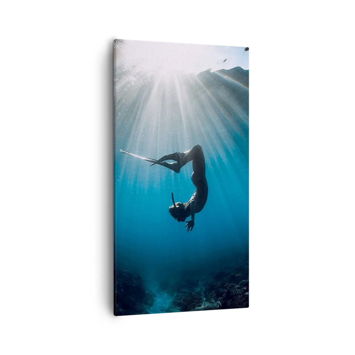 Obraz na plátně - Podvodní tanec - 55x100 cm