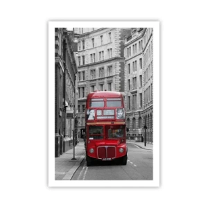 Plakát - Všednost nemusí být šedá - 61x91 cm