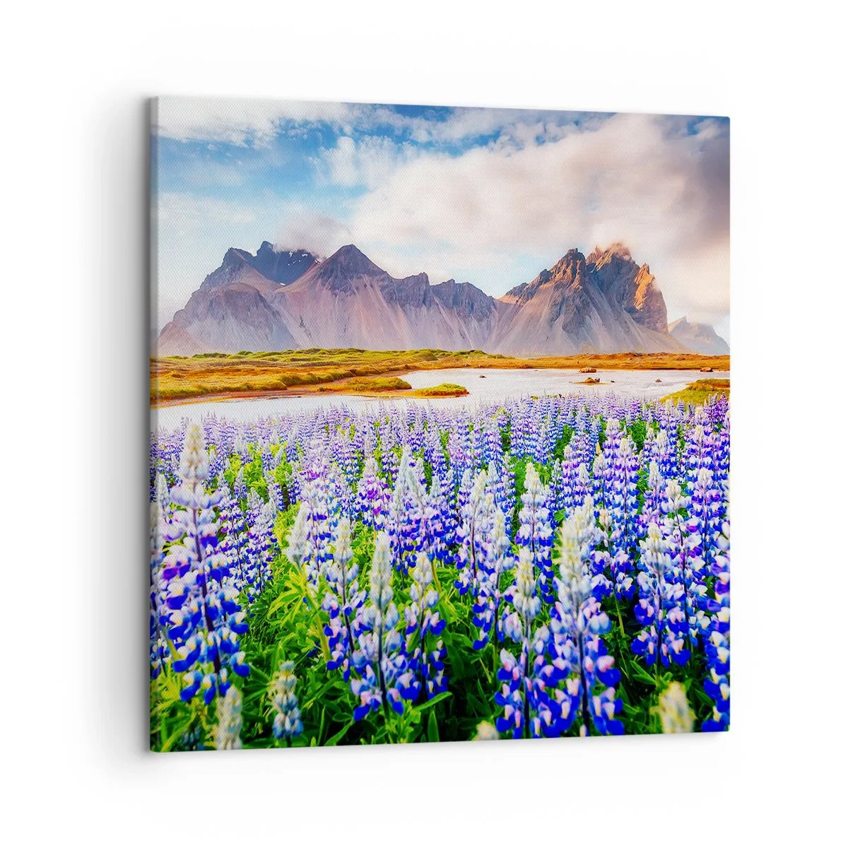 Obraz na plátně - Síla a přísnost vedle mírnosti - 50x50 cm