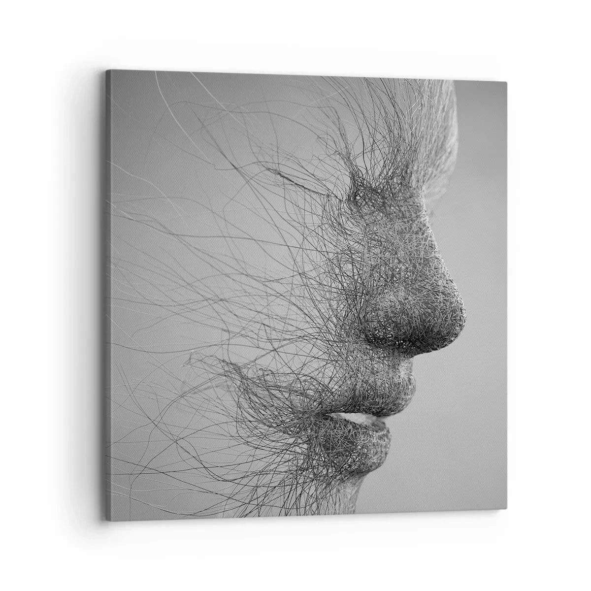 Obraz na plátně - Duch větru - 70x70 cm