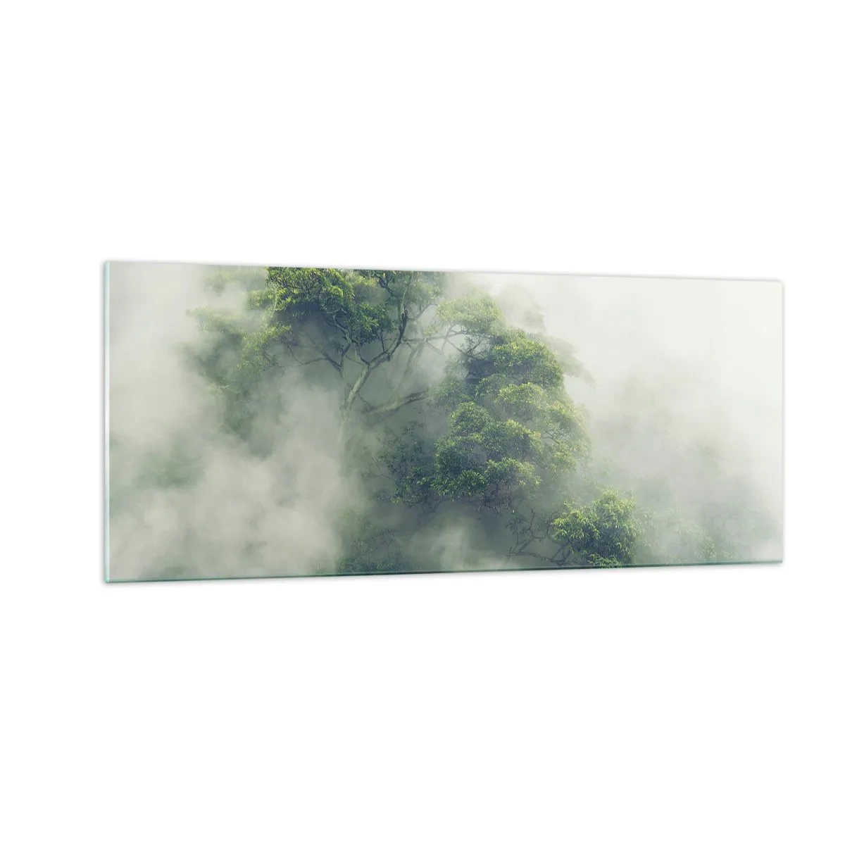 Obraz na skle - Zahalené mlhou - 100x40 cm