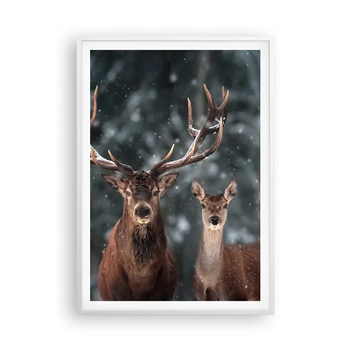 Plakát v bílém rámu - Pán lesa se svou ženou - 70x100 cm