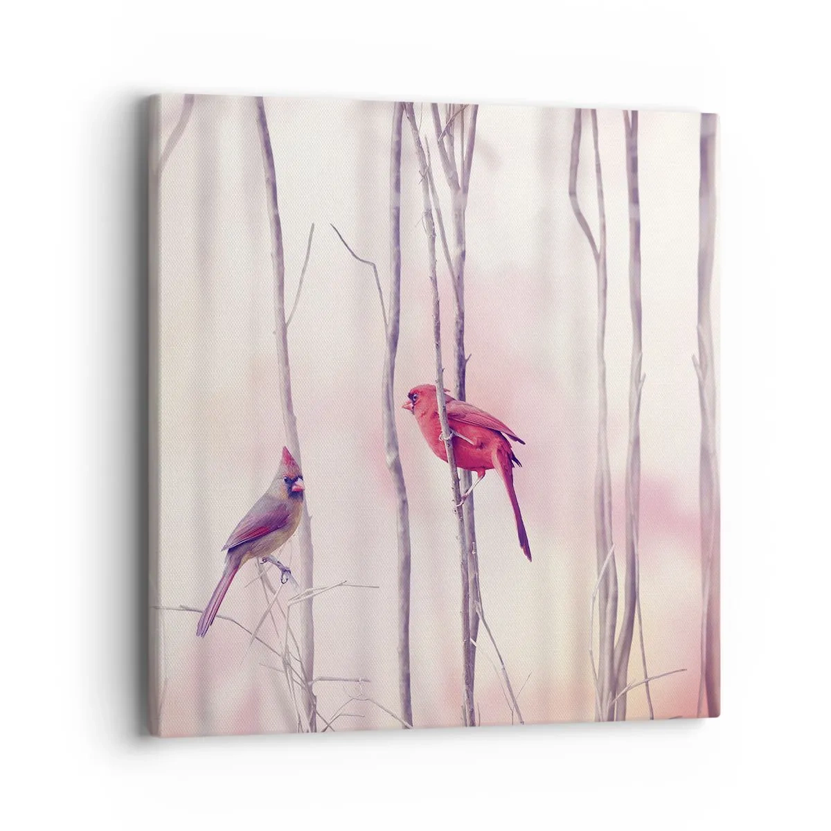 Obraz na plátně - Příběh růžového lesa - 40x40 cm