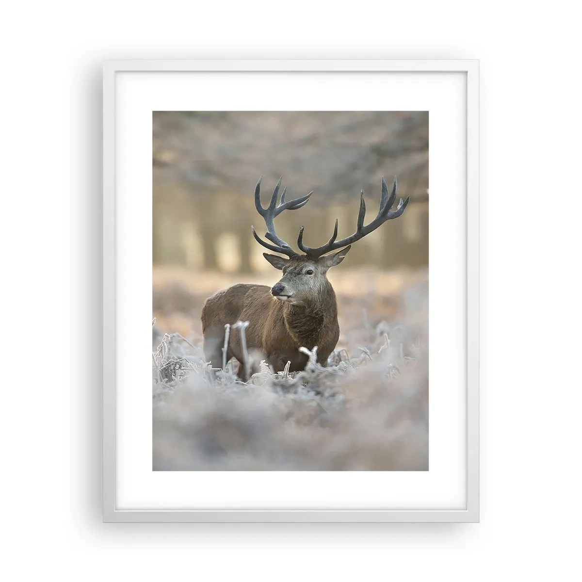 Plakát v bílém rámu - Svěží ráno - 40x50 cm