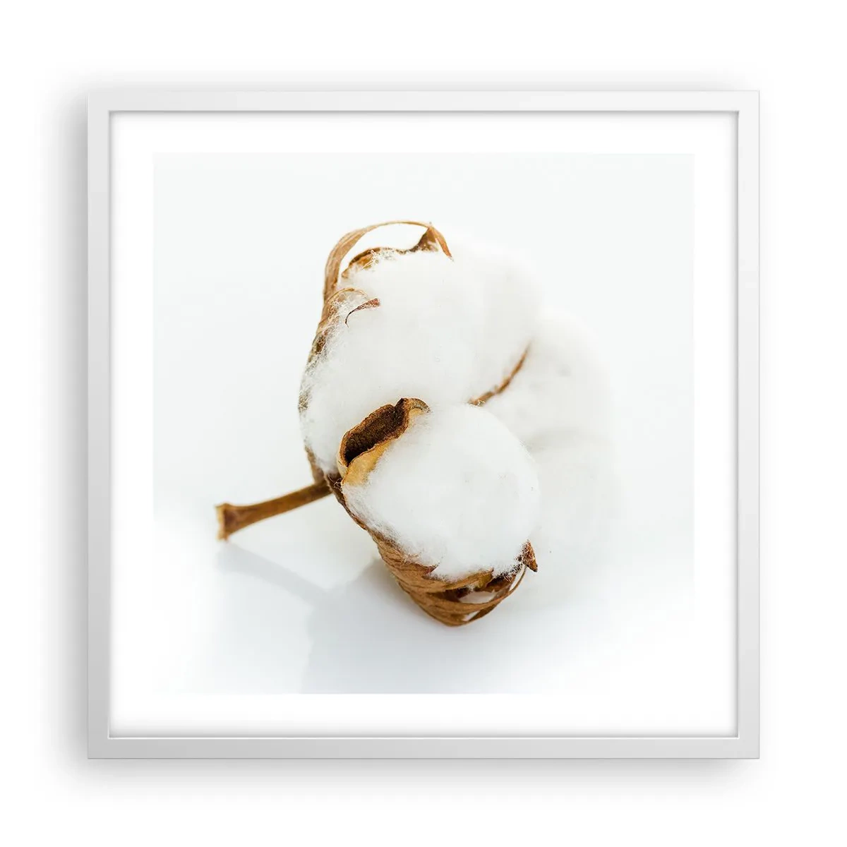 Plakát v bílém rámu - Měkká od přírody - 50x50 cm