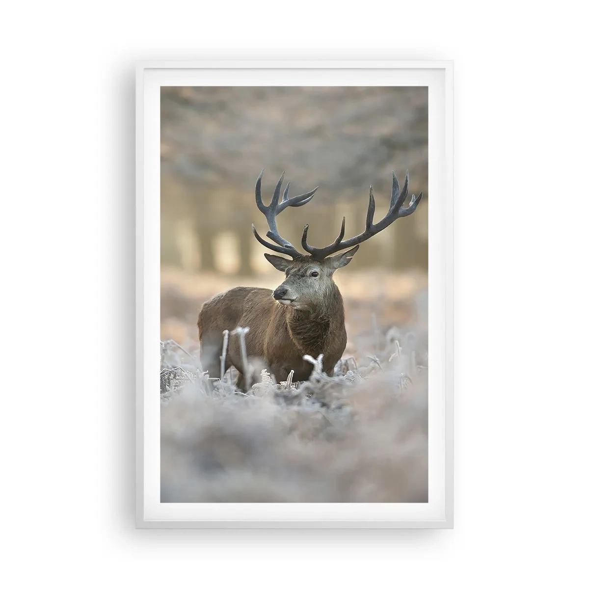 Plakát v bílém rámu - Svěží ráno - 61x91 cm