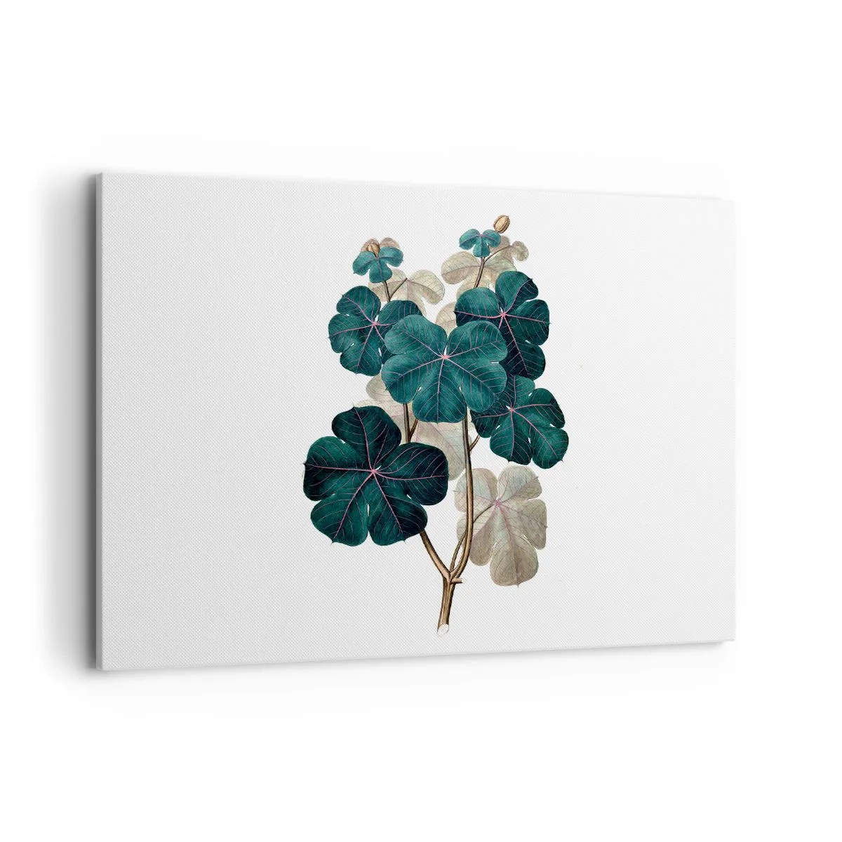 Obraz na plátně - Ze starého herbáře - 100x70 cm