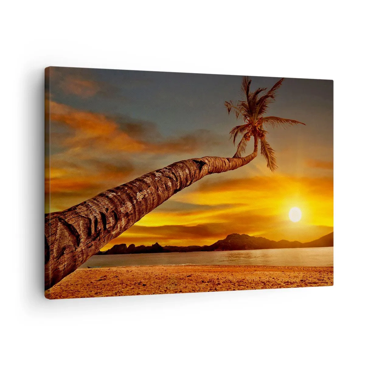 Obraz na plátně - Exotické prázdniny, karibské dobrodružství - 70x50 cm