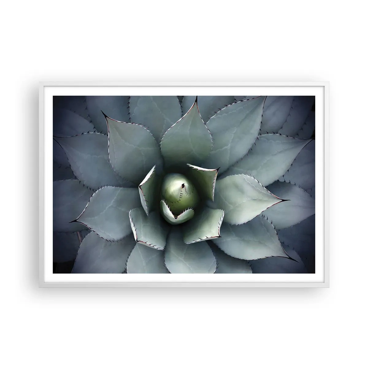 Plakát v bílém rámu - Svádí a varuje - 100x70 cm