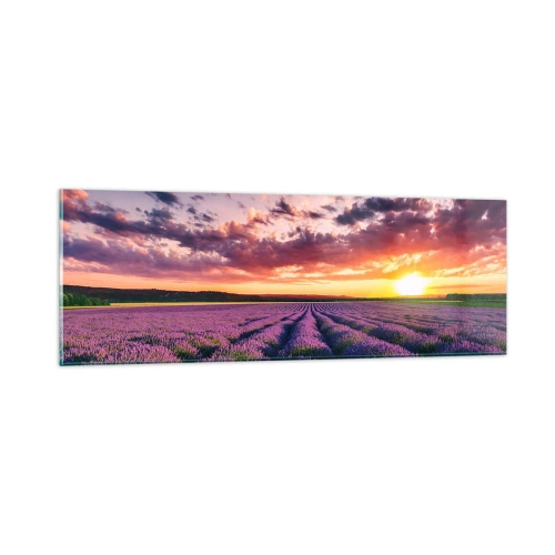 Obraz na skle - Levandulový svět - 90x30 cm