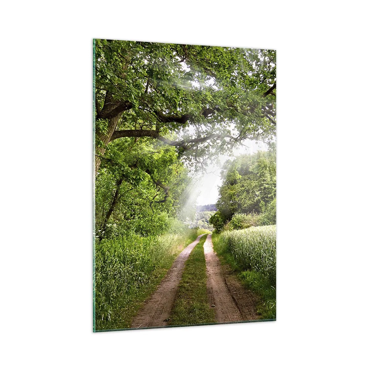 Obraz na skle - Et in Arcadia ego - 50x70 cm