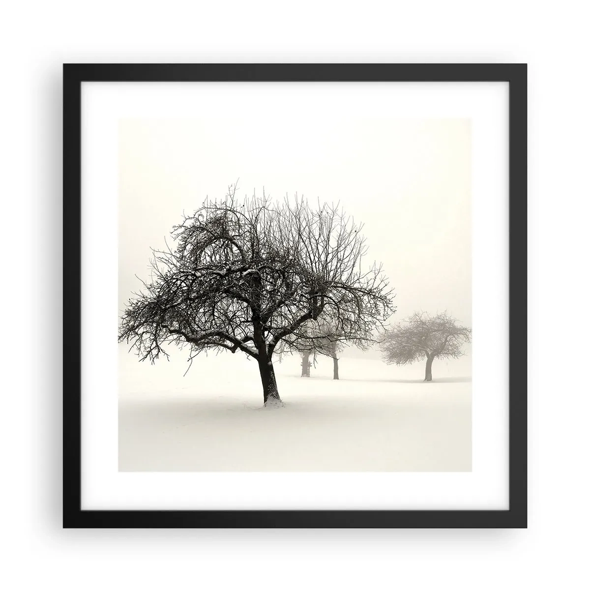 Plakát v černém rámu - Zimní sen - 40x40 cm