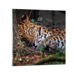 Obraz na skle - Věř mi - 70x70 cm